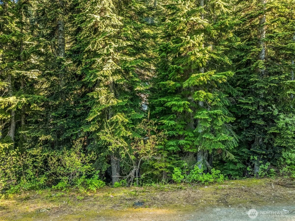 MLS #NWM2407663 image #0