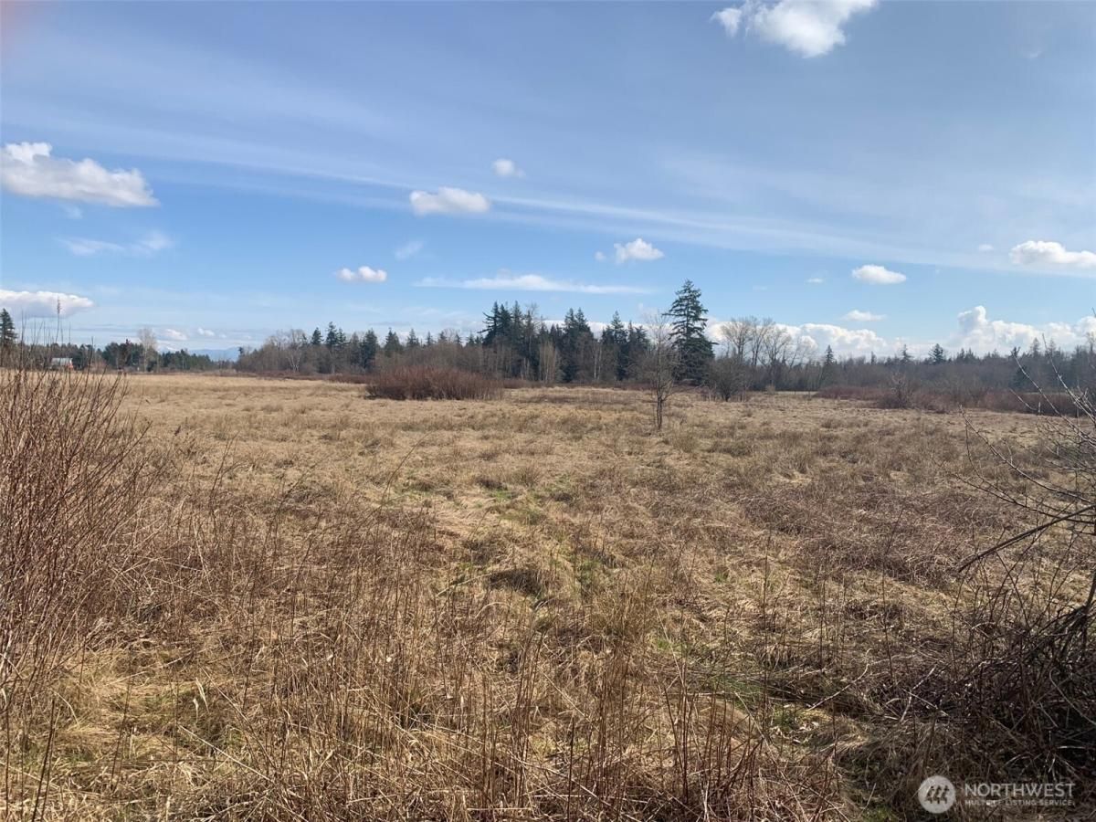 MLS #NWM2409073 image #0