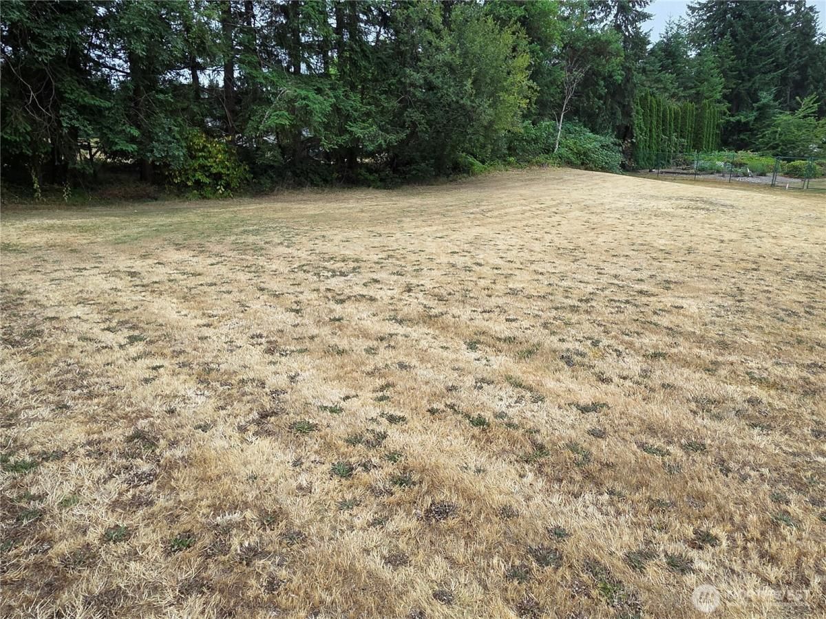 MLS #NWM2410603 image #0