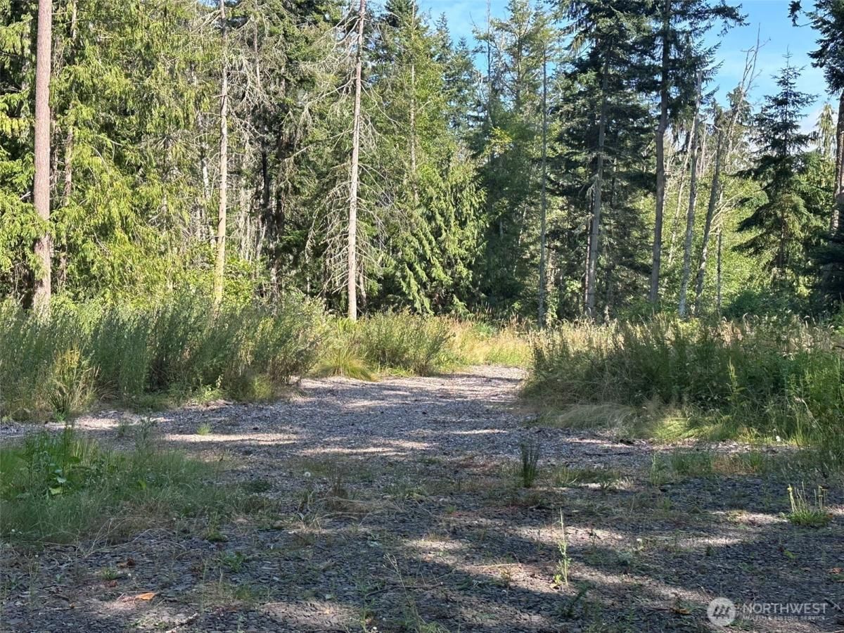 MLS #NWM2414008 image #0