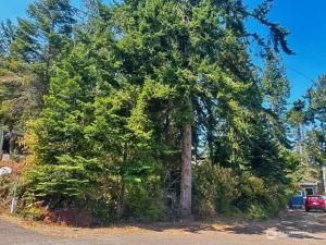 MLS #NWM2415119 image #0