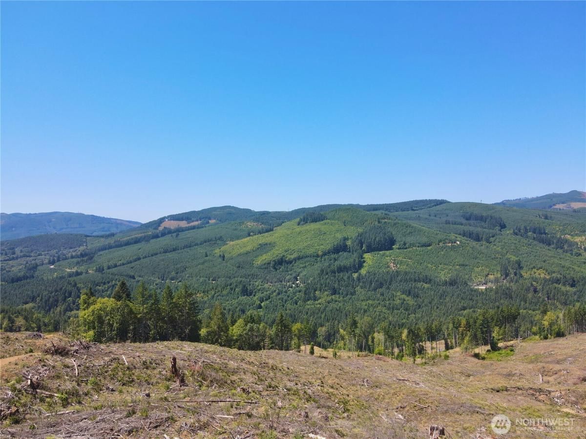 MLS #NWM2415567 image #0