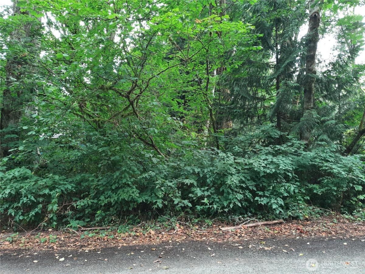 MLS #NWM2416896 image #0