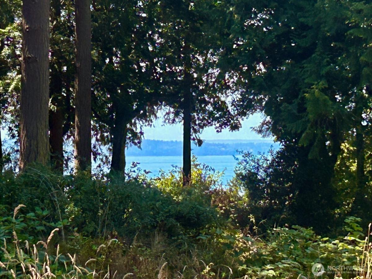 MLS #NWM2417403 image #0