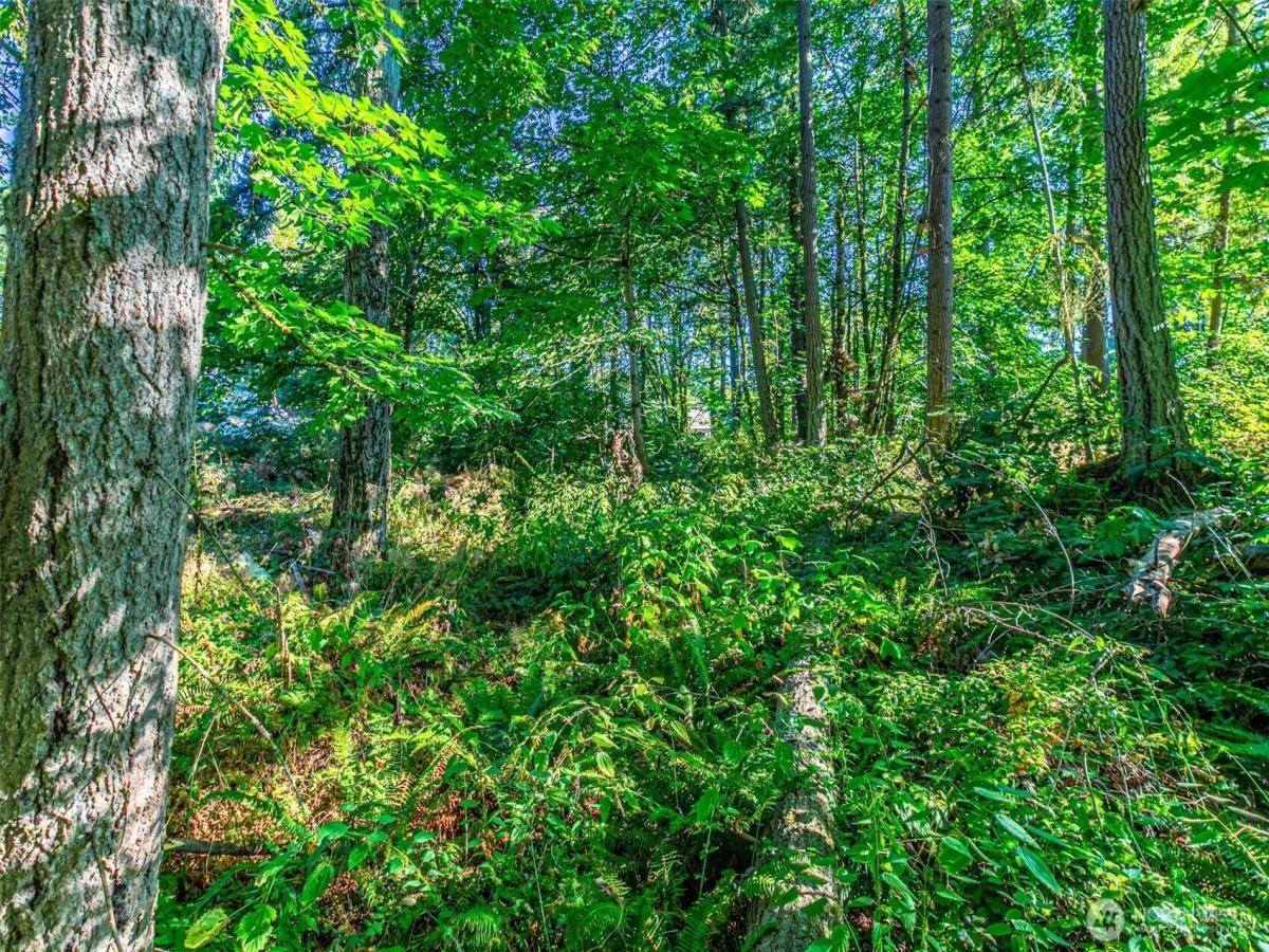 MLS #NWM2418025 image #0