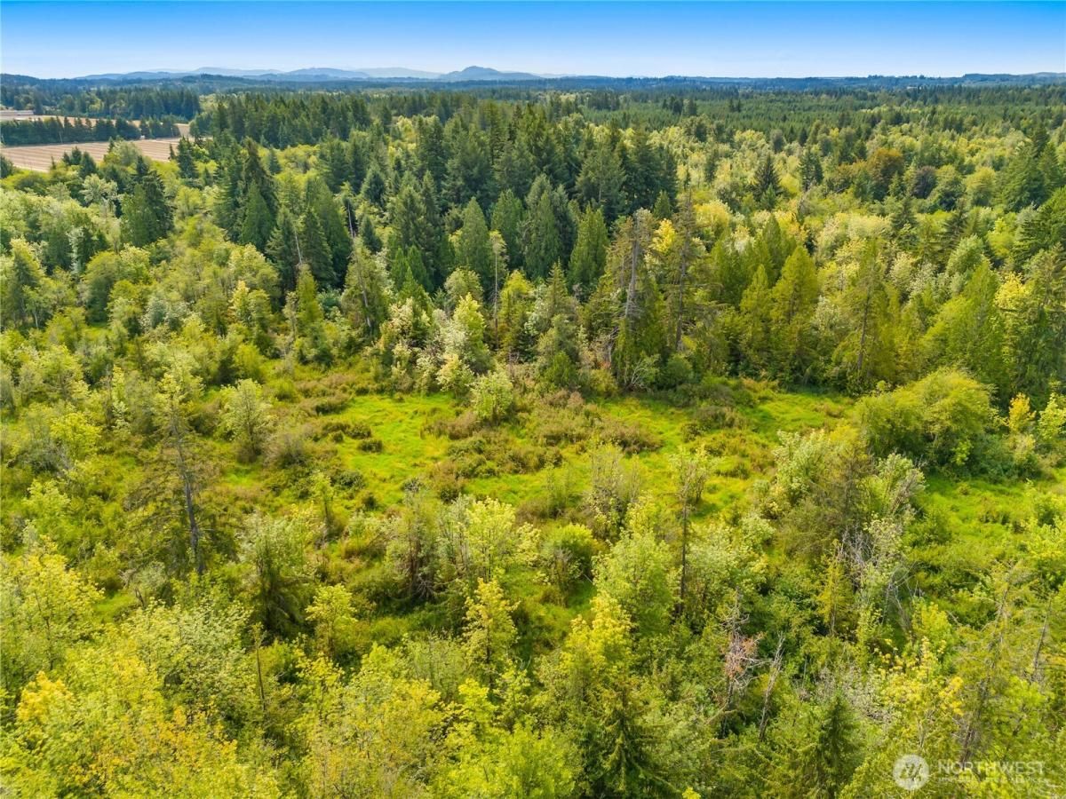 MLS #NWM2418554 image #0