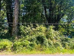 MLS #NWM2419454 image #0