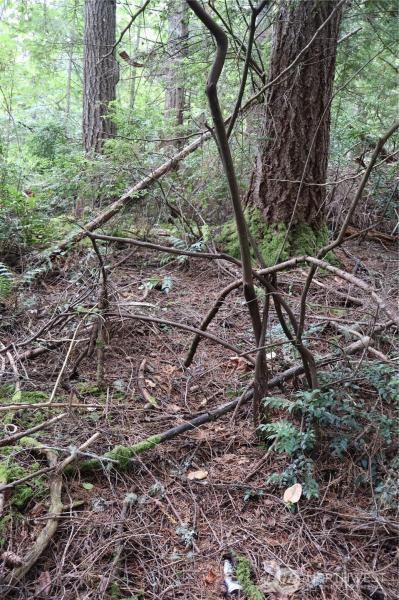 MLS #NWM2420941 image #0