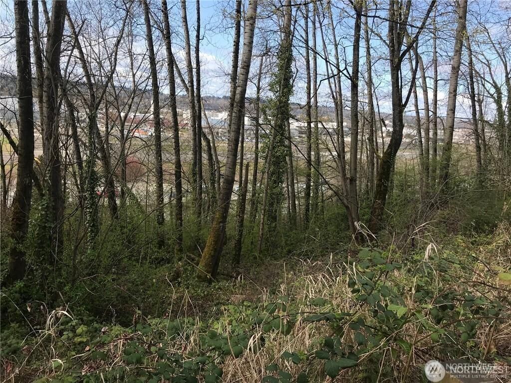 MLS #NWM2421762 image #0