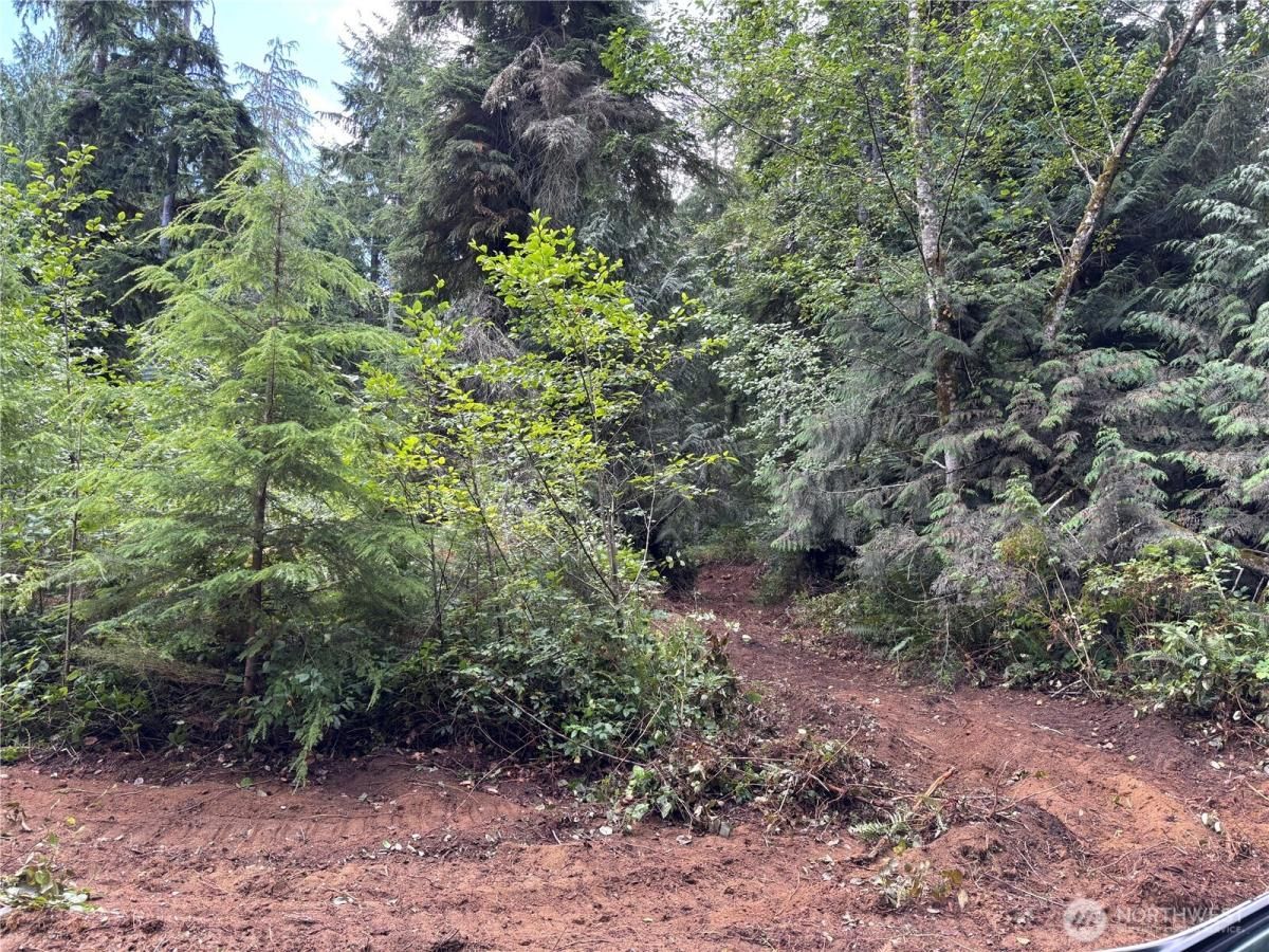 MLS #NWM2423453 image #0