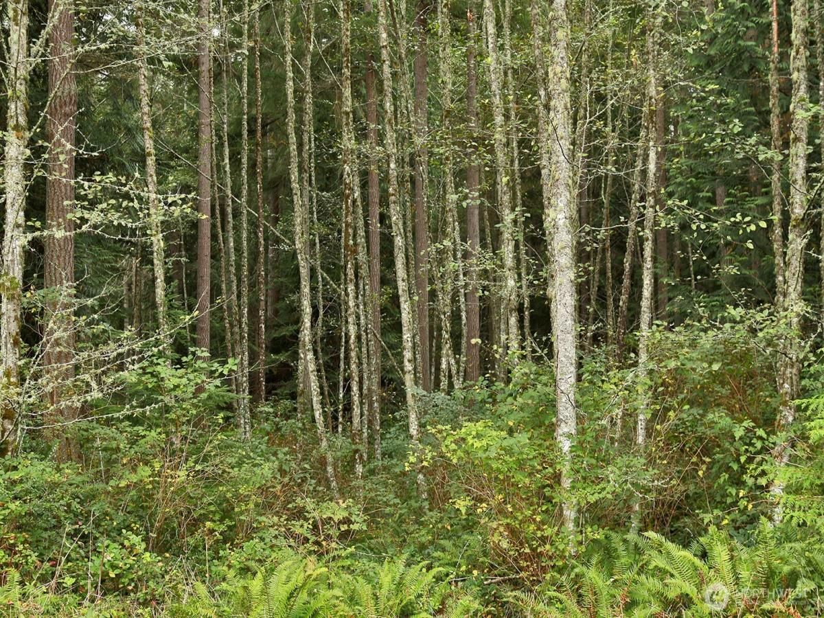 MLS #NWM2423589 image #0