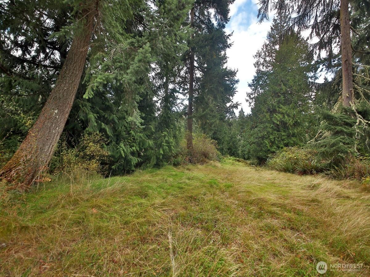 MLS #NWM2423671 image #0