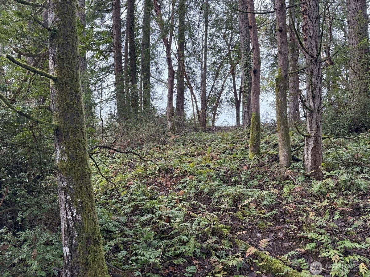 MLS #NWM2424433 image #0