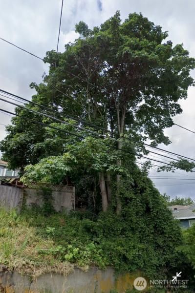 MLS #NWM2425549 image #0