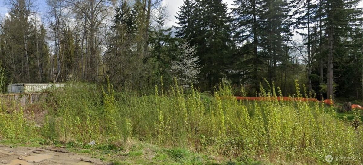 MLS #NWM2425633 image #0