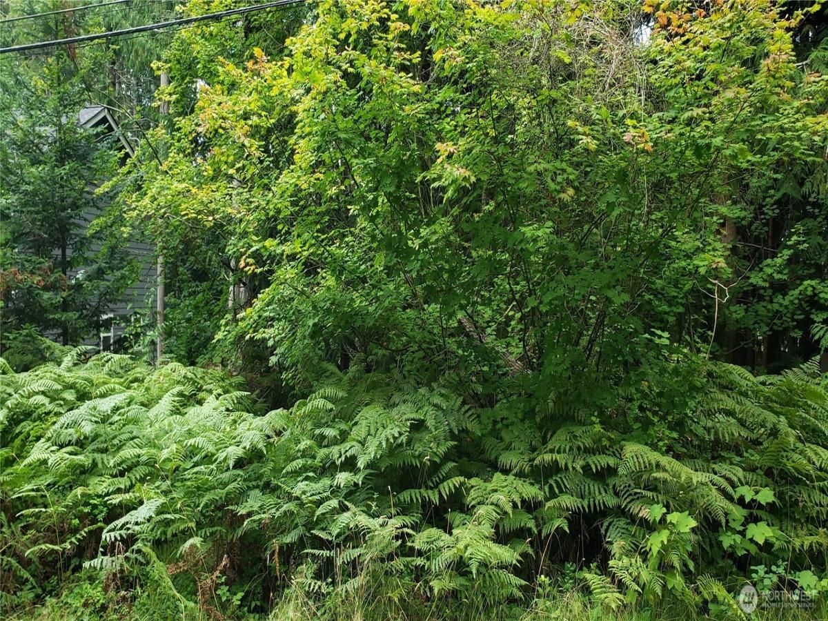 MLS #NWM2427403 image #0