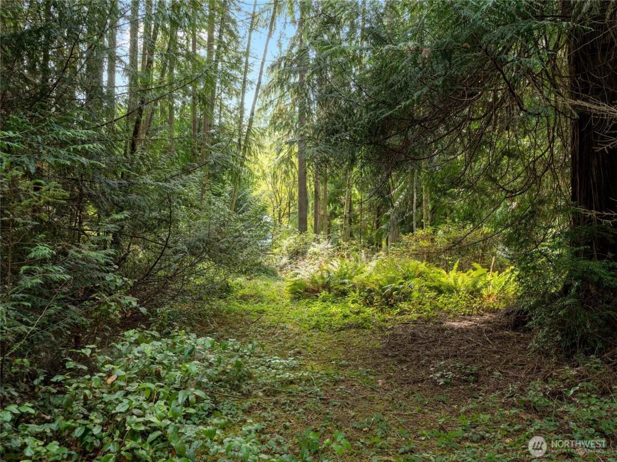 MLS #NWM2429045 image #0