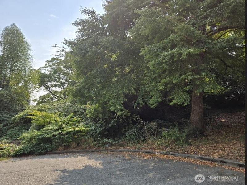 MLS #NWM2430210 image #0