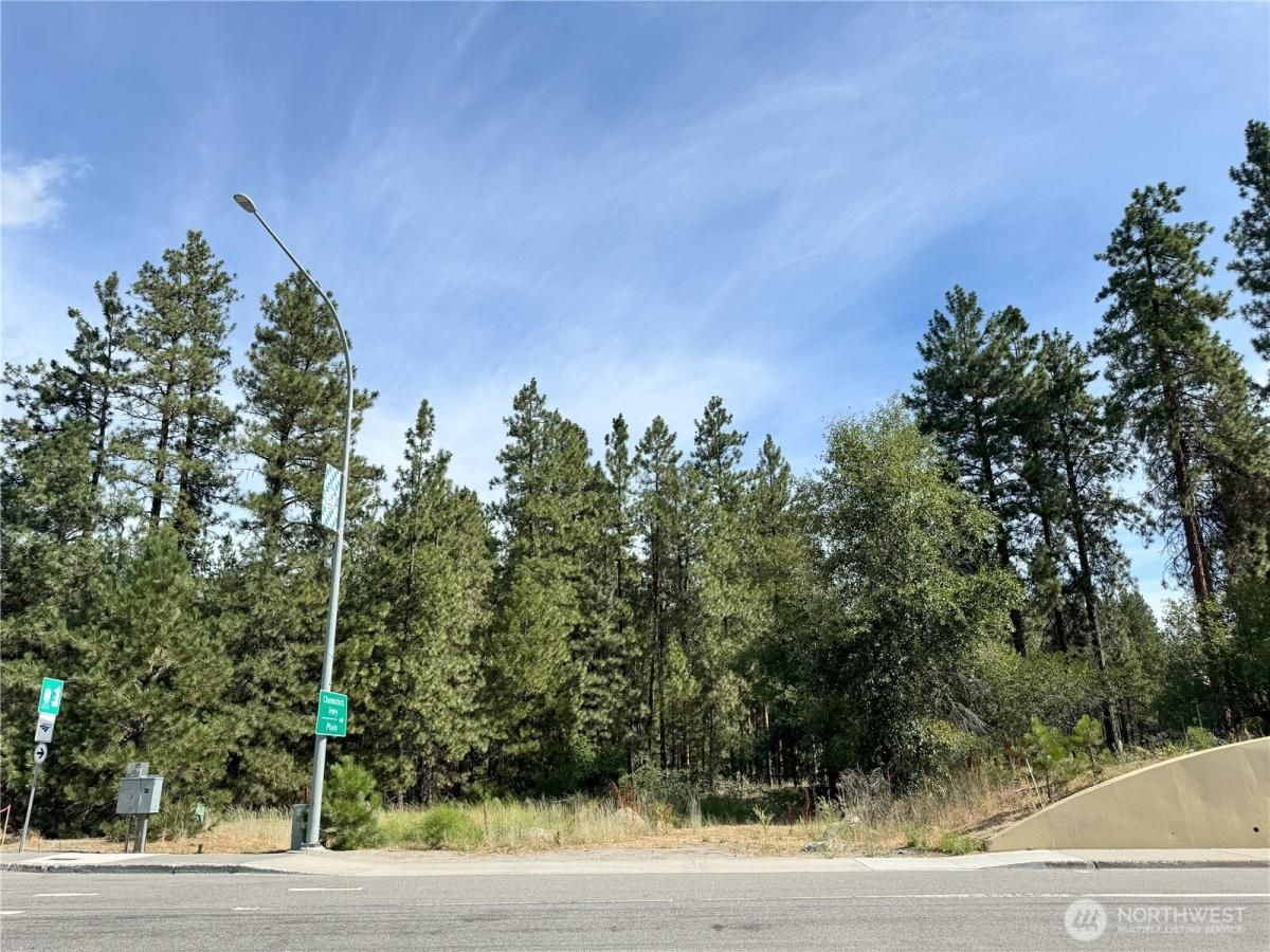 MLS #NWM2430490 image #0