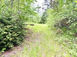 MLS #NWM2430631 image #0