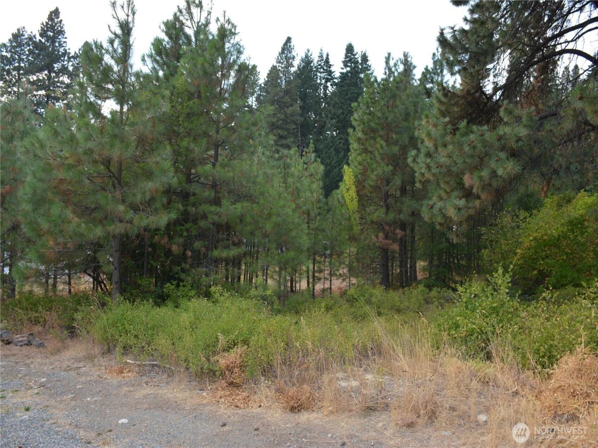 MLS #NWM2431521 image #0