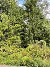 MLS #NWM2432158 image #0