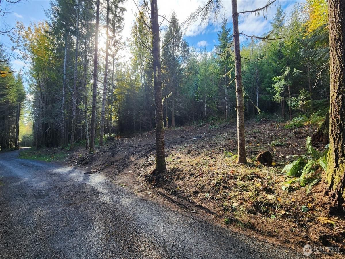 MLS #NWM2432879 image #0