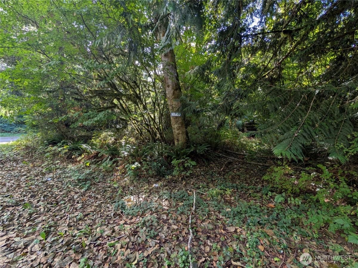 MLS #NWM2433927 image #0