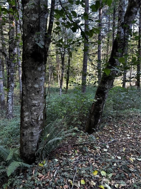 MLS #NWM2435992 image #0
