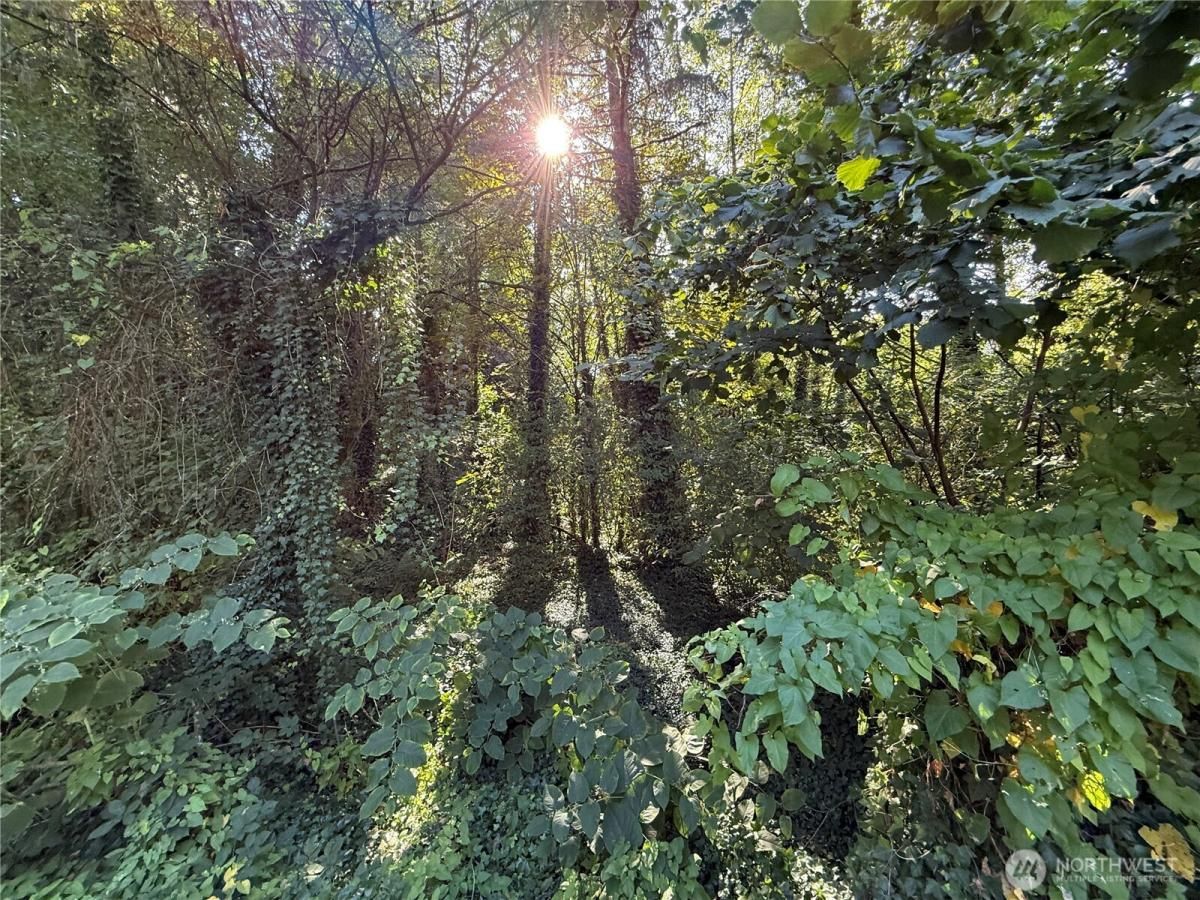 MLS #NWM2436375 image #0