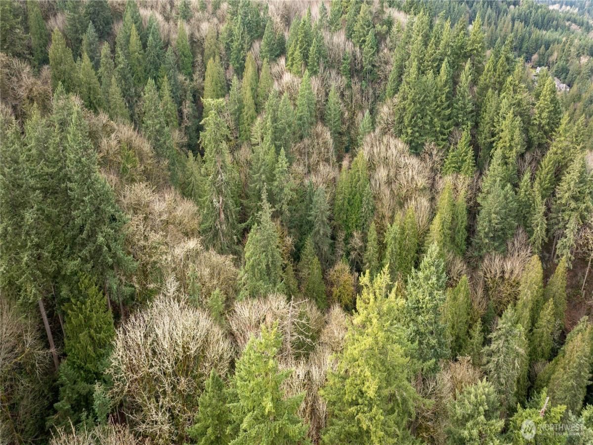 MLS #NWM2436427 image #0