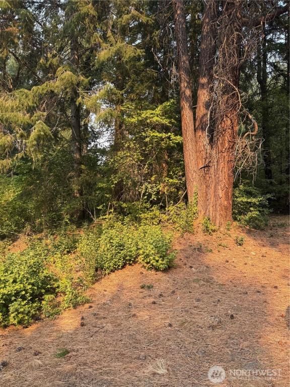 MLS #NWM2436769 image #0