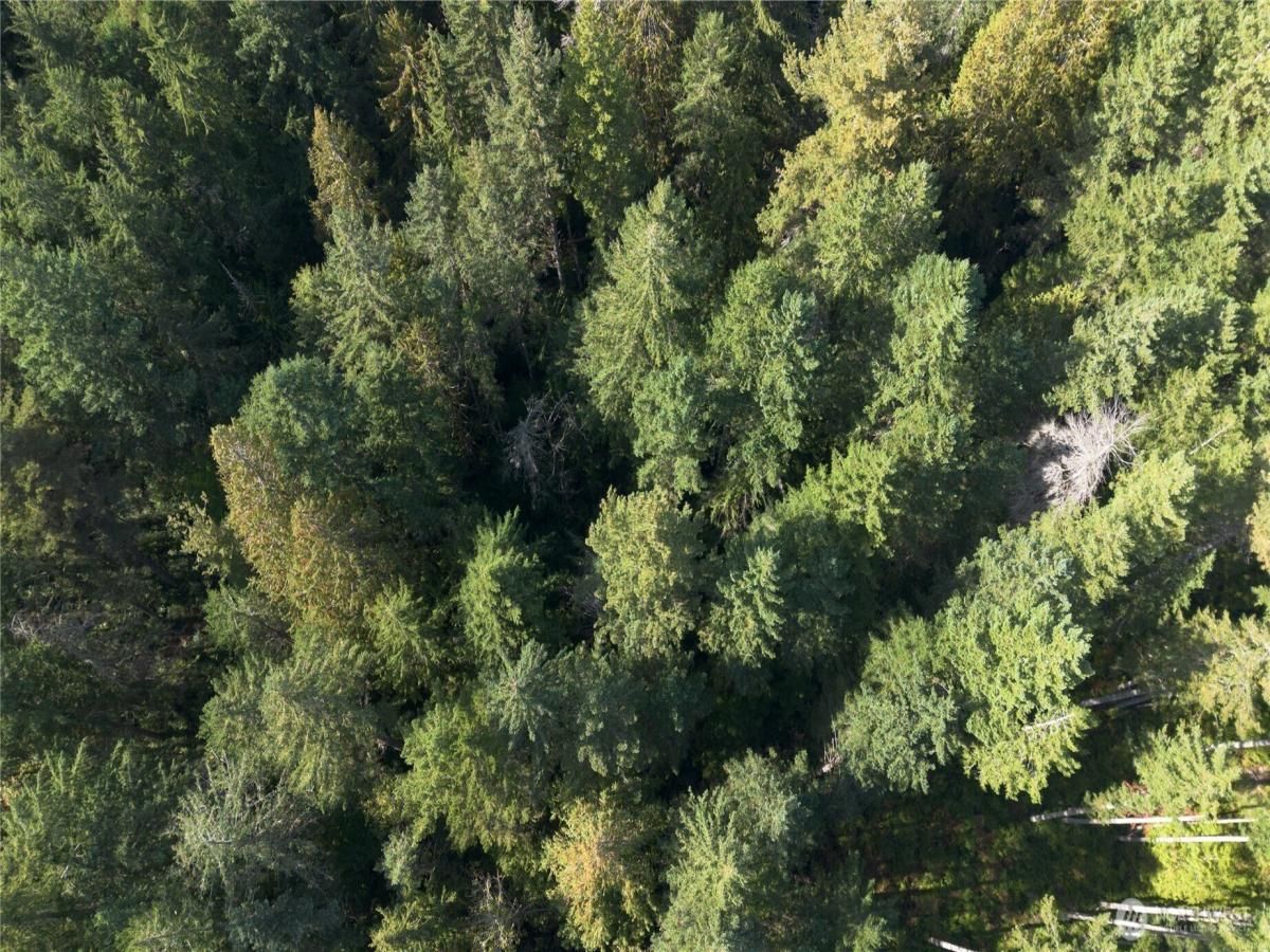 MLS #NWM2439154 image #0