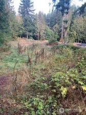 MLS #NWM2439793 image #0