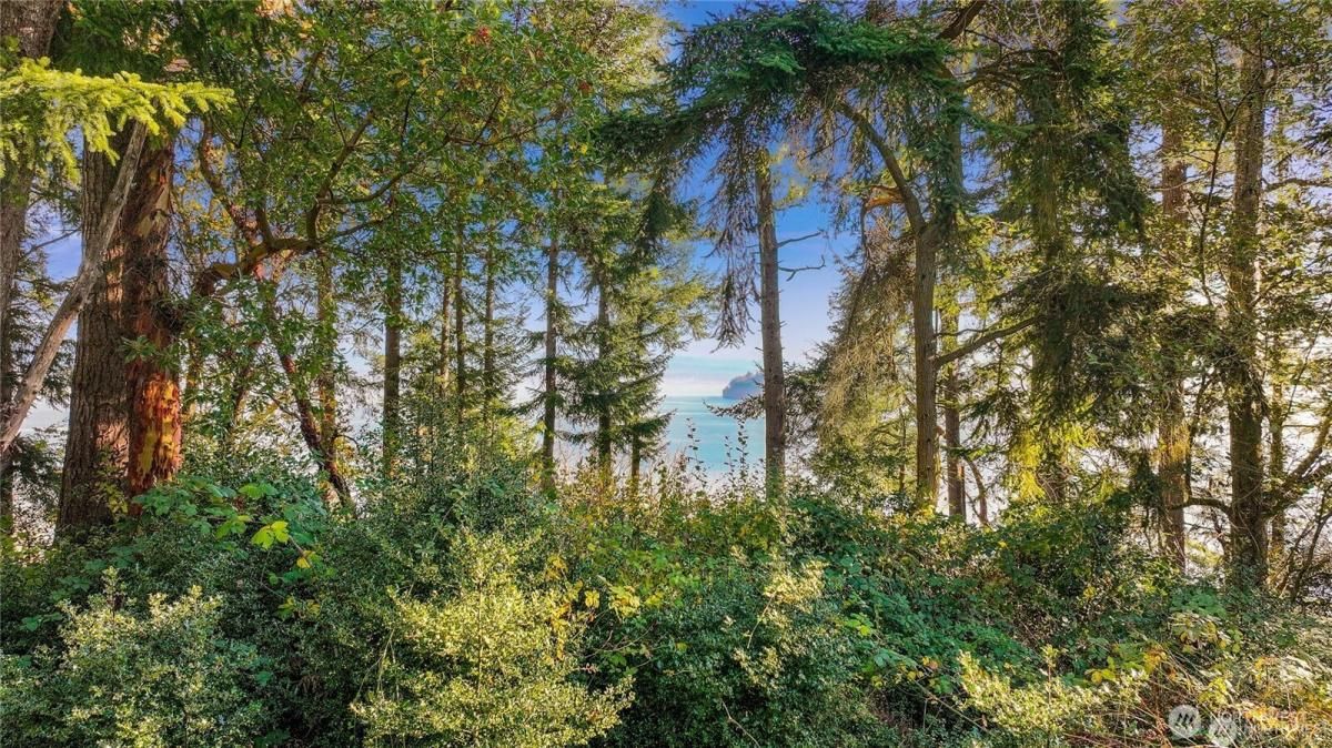 MLS #NWM2439834 image #0