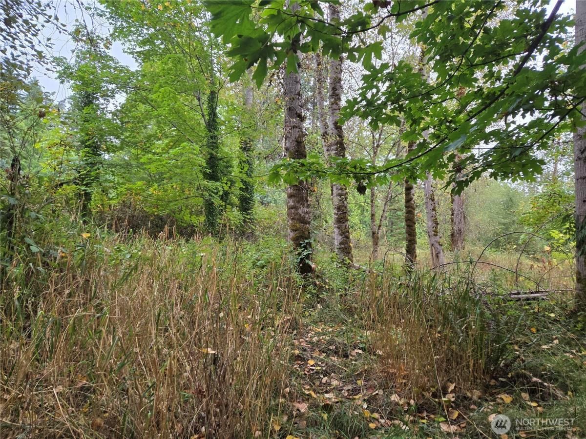 MLS #NWM2440112 image #0