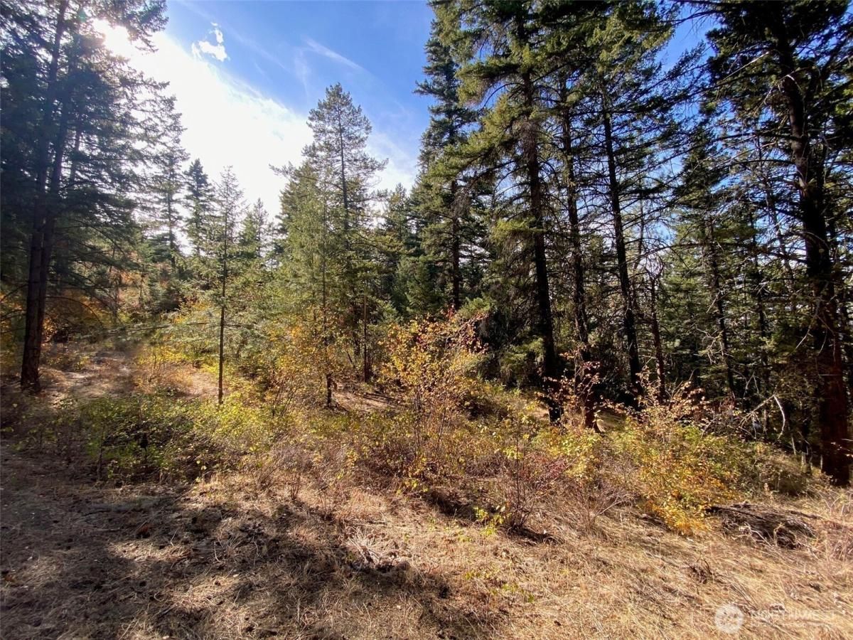 MLS #NWM2441530 image #0