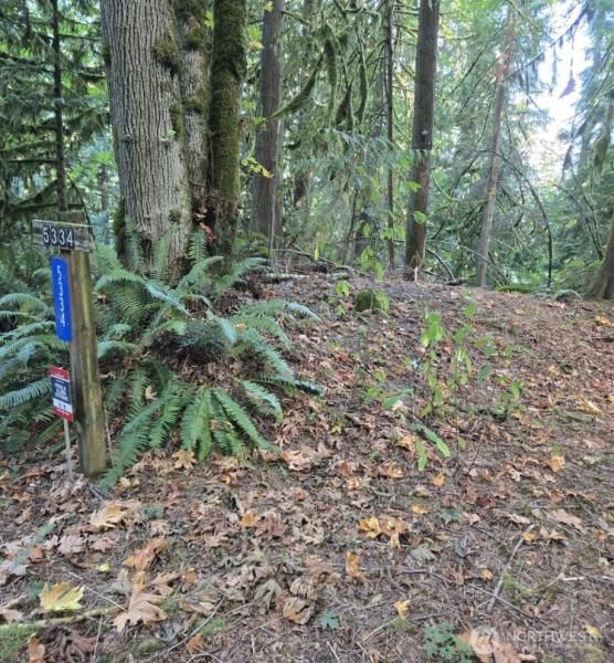 MLS #NWM2442336 image #0