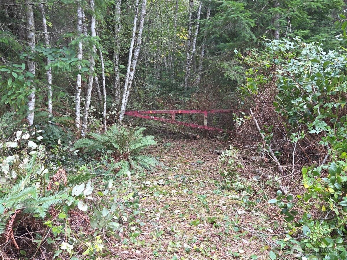 MLS #NWM2442396 image #0