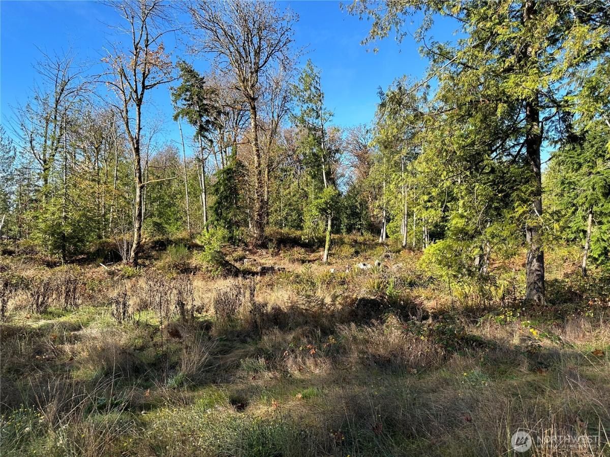 MLS #NWM2442968 image #0