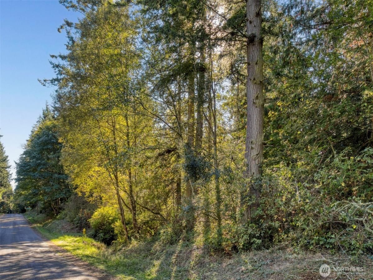 MLS #NWM2443863 image #0