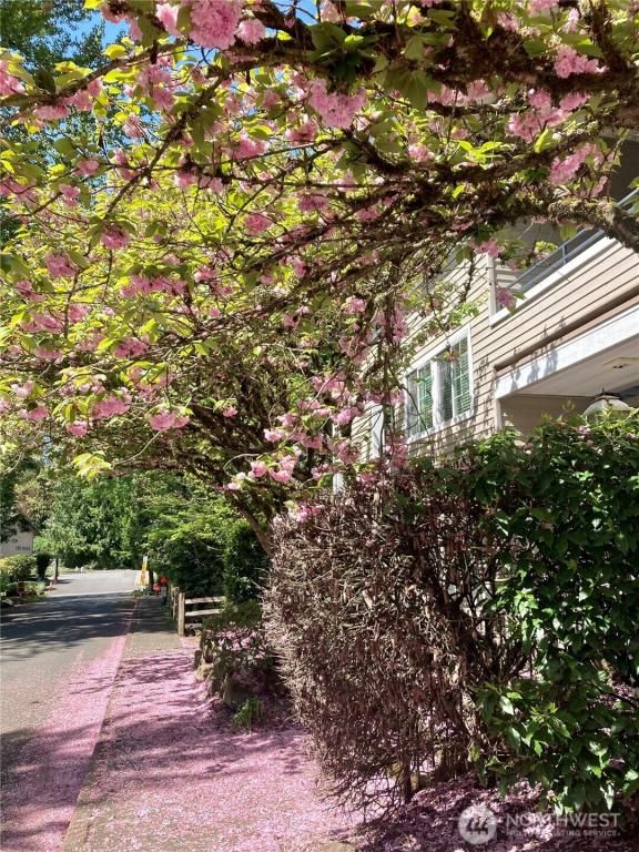 MLS #NWM2445224 image #0