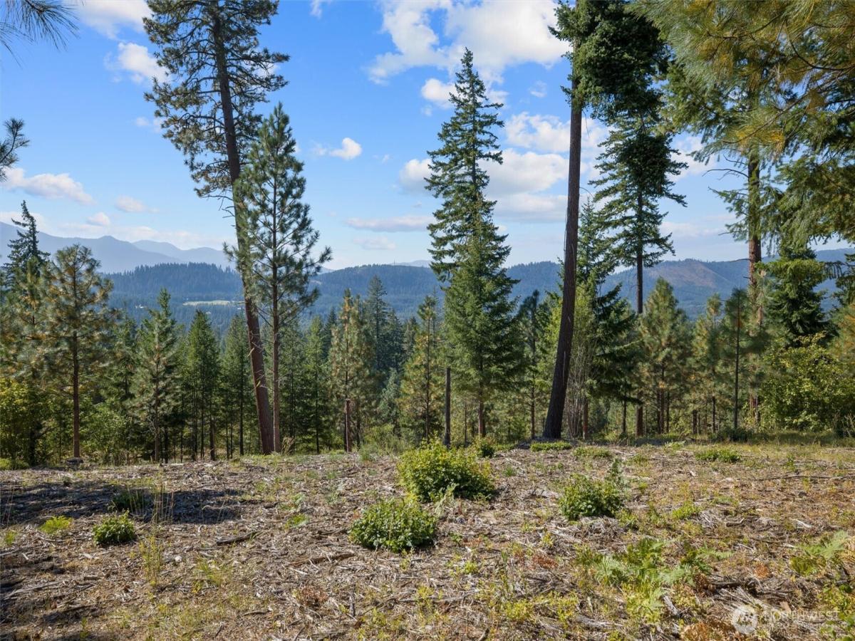 MLS #NWM2446307 image #0