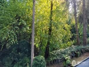 MLS #NWM2447121 image #0