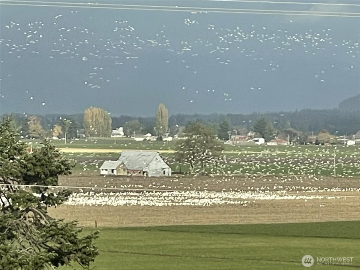 MLS #NWM2449659 image #0