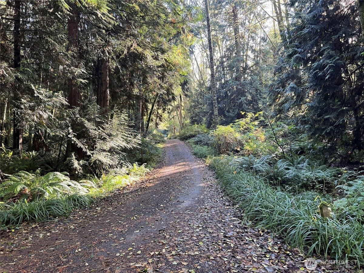 MLS #NWM2450874 image #0