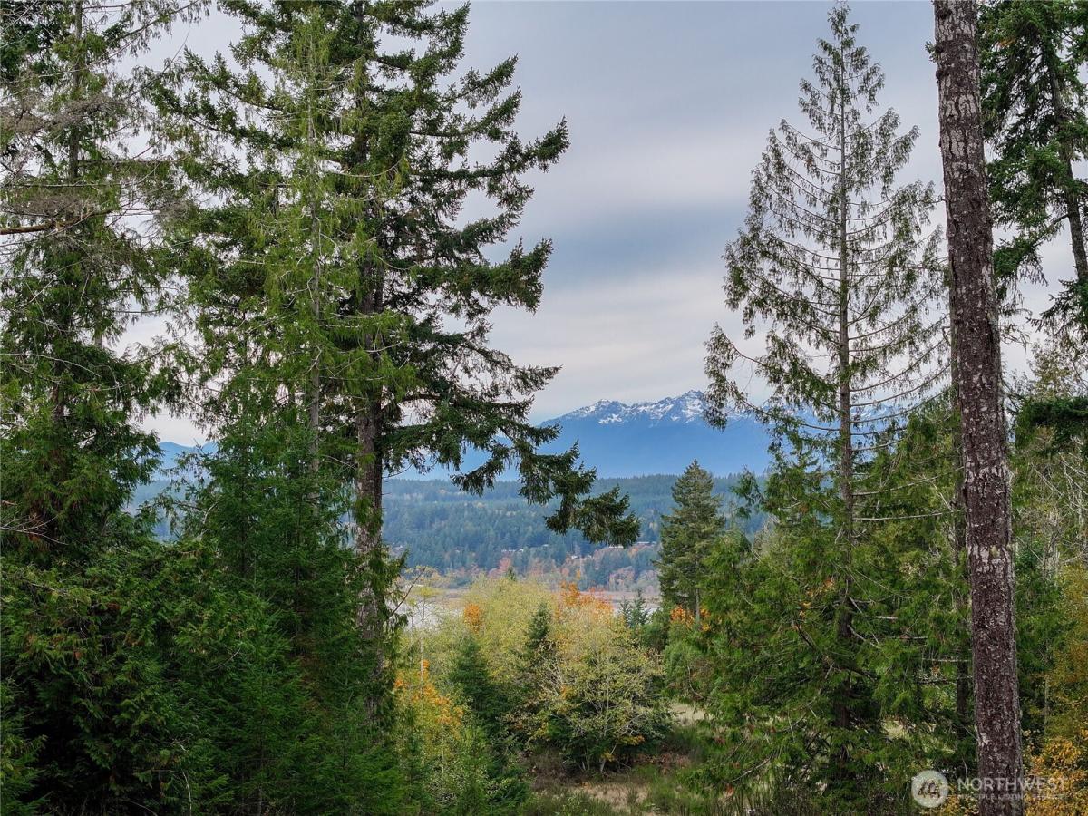 MLS #NWM2452096 image #0