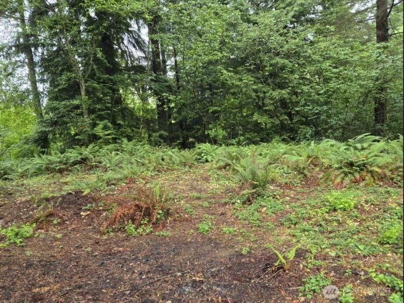 MLS #NWM2452360 image #0