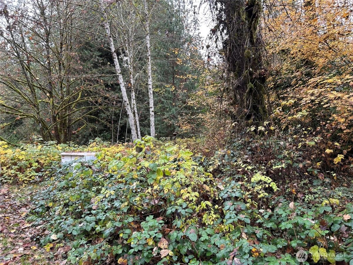 MLS #NWM2452377 image #0