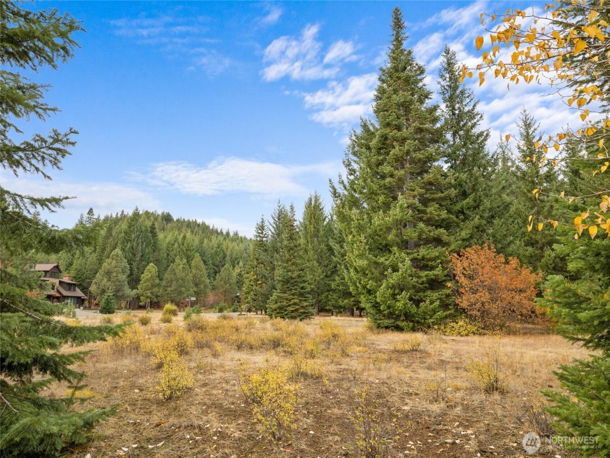 MLS #NWM2452381 image #0